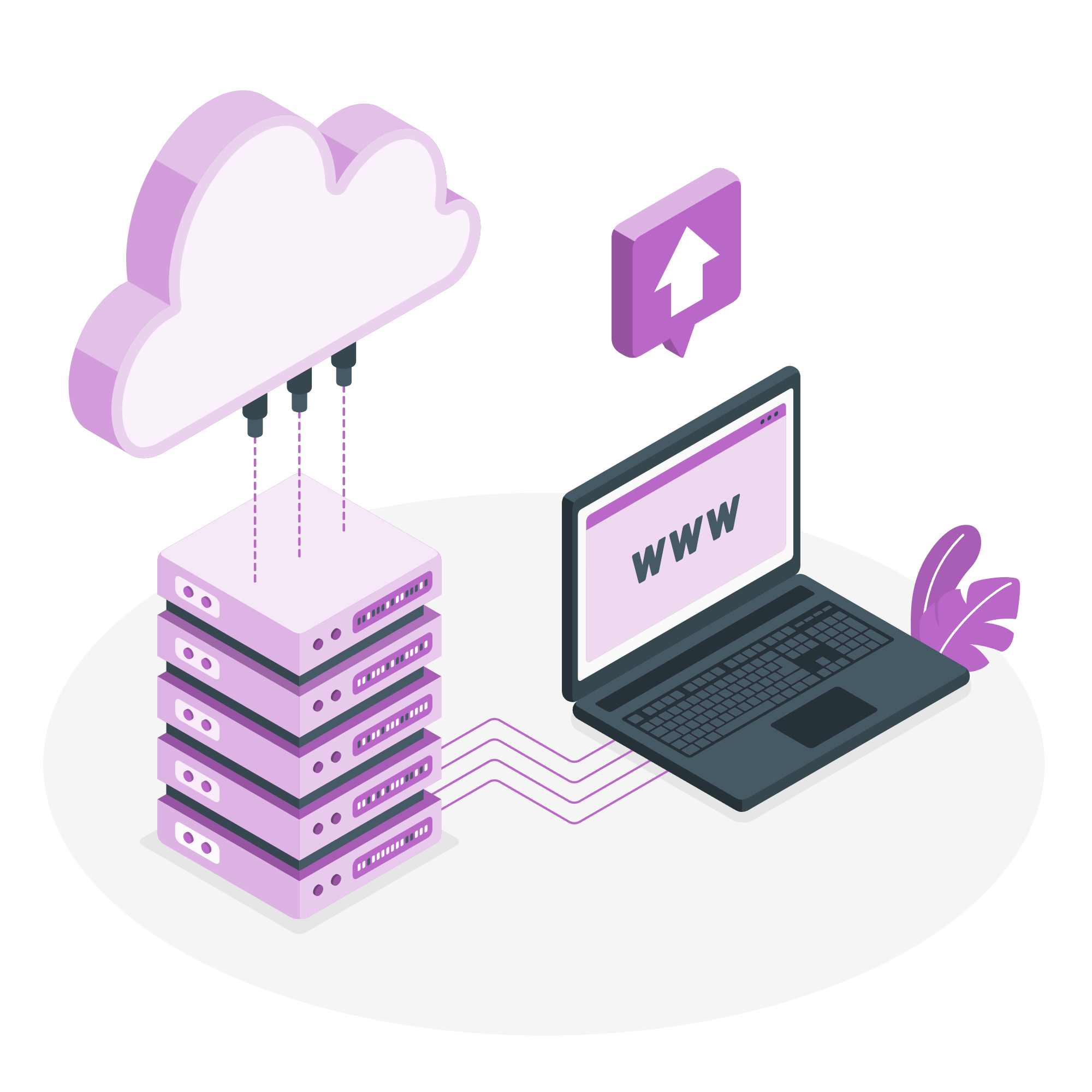 Cheap Web Hosting India